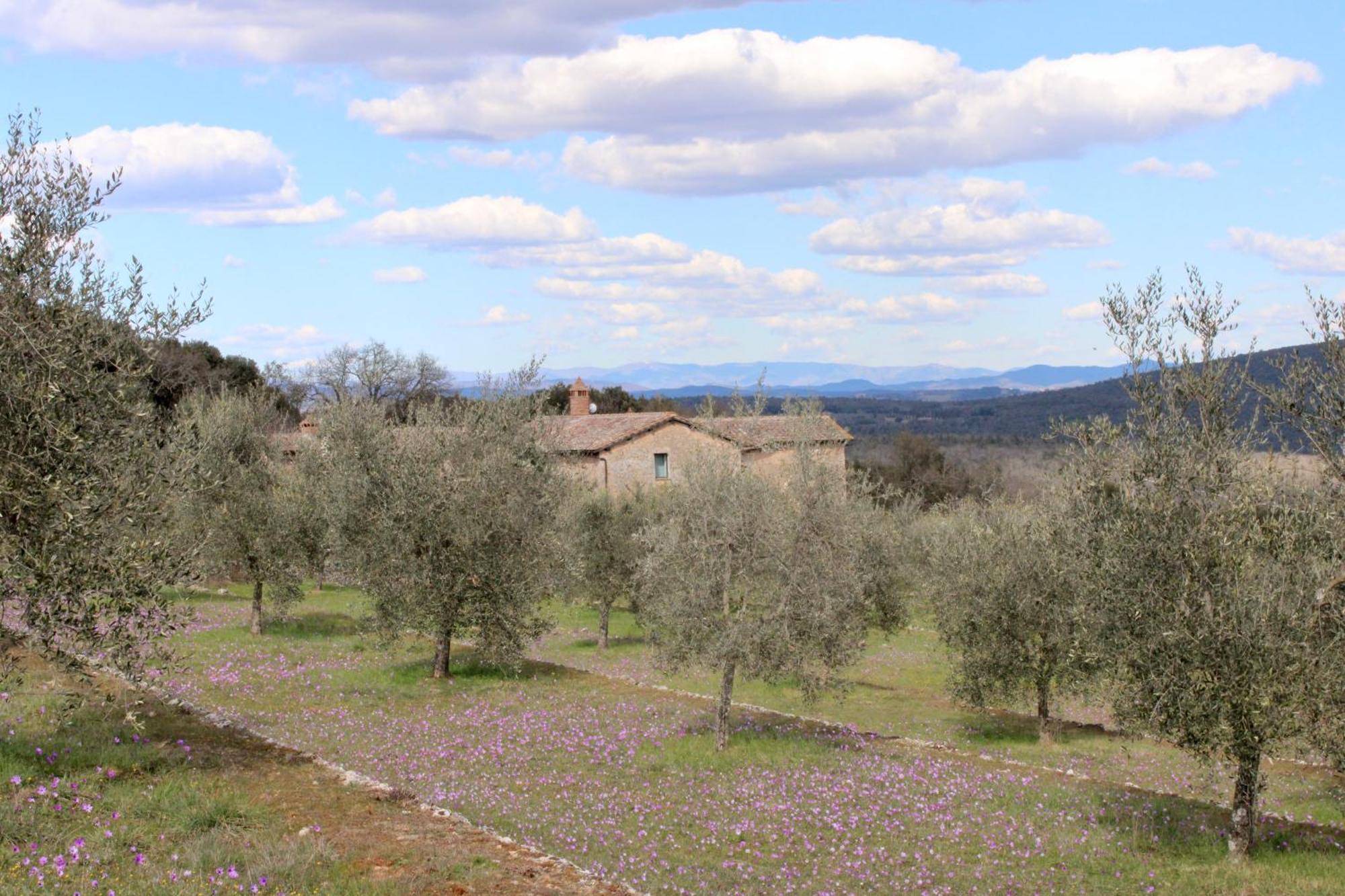 Agriturismo Il Caggio Совичилле Экстерьер фото
