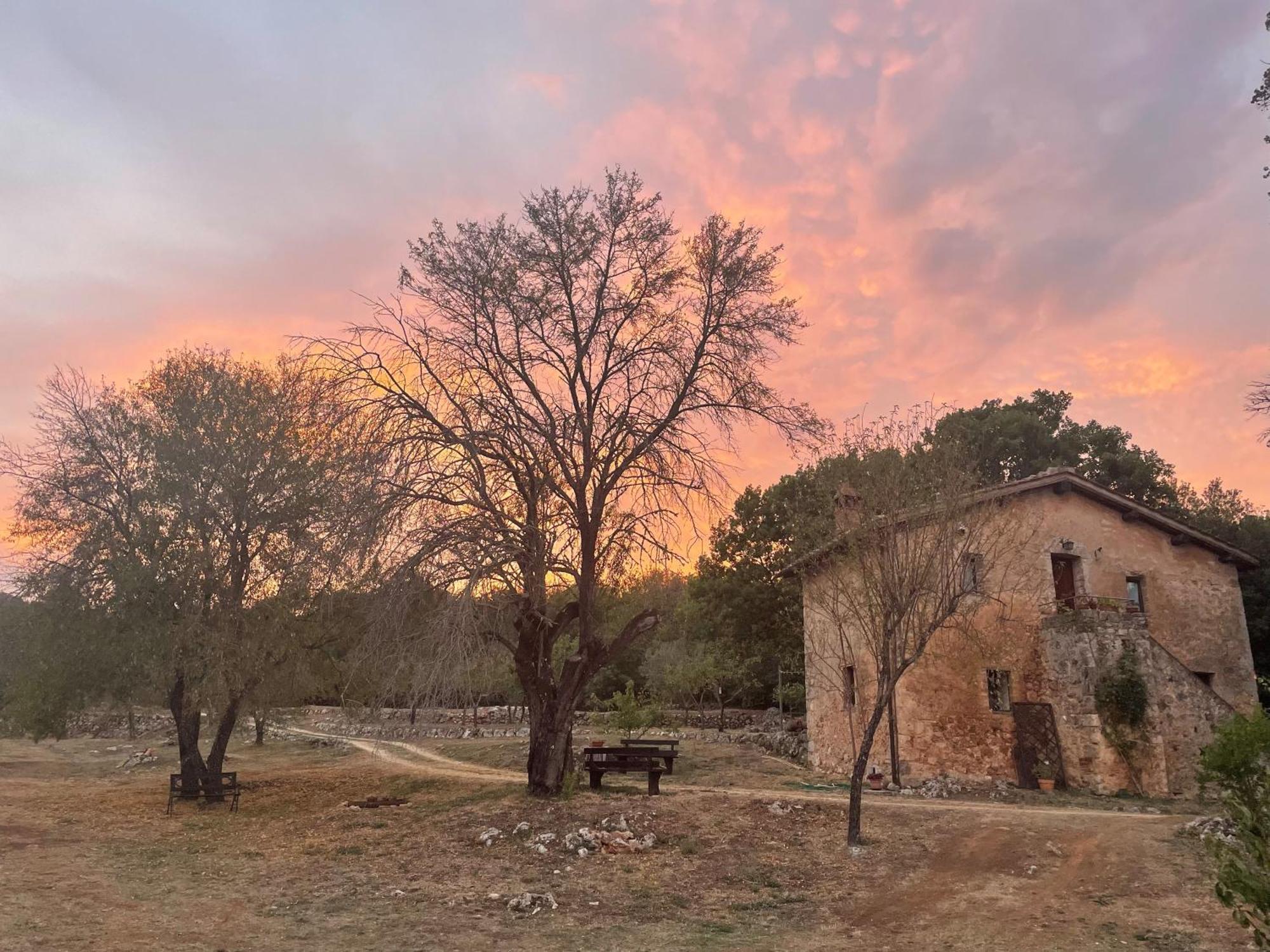 Agriturismo Il Caggio Совичилле Экстерьер фото