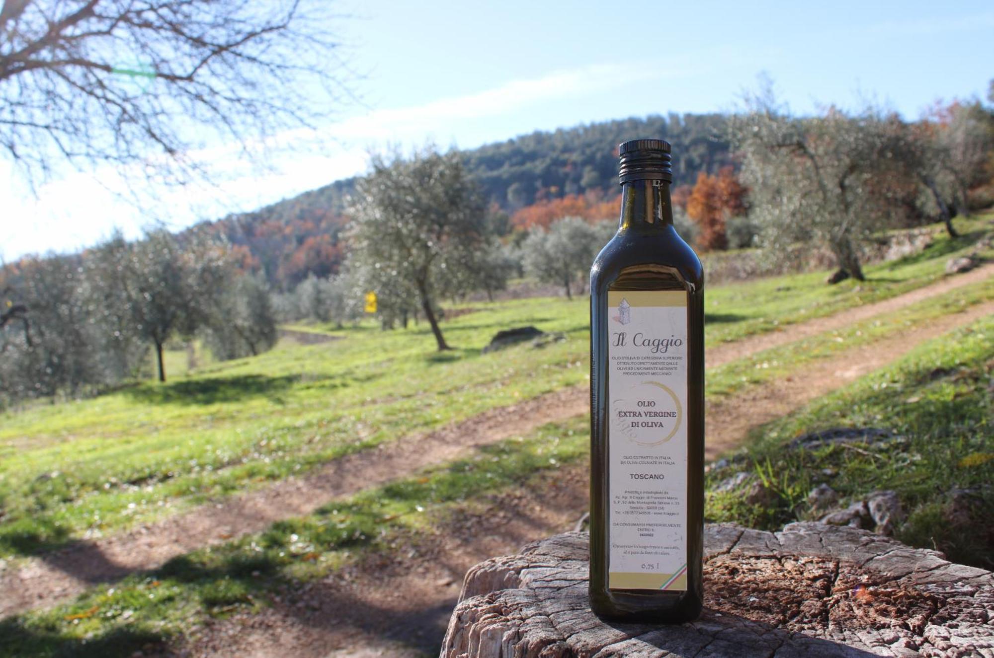 Agriturismo Il Caggio Совичилле Экстерьер фото
